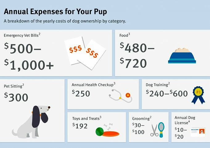 The True Cost Of Owning A Dog. Can You Afford That Furry Buddy?